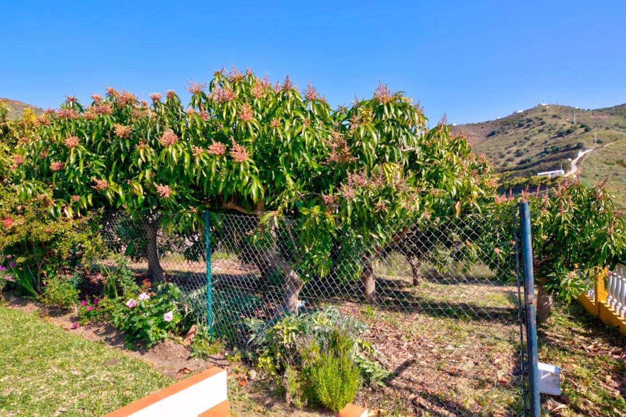 טורוקס Villa Grillo מראה חיצוני תמונה